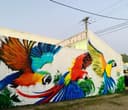 Colourful Flying Birds