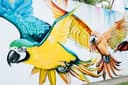 Bright Birds