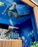 Underwater Ceiling Mural