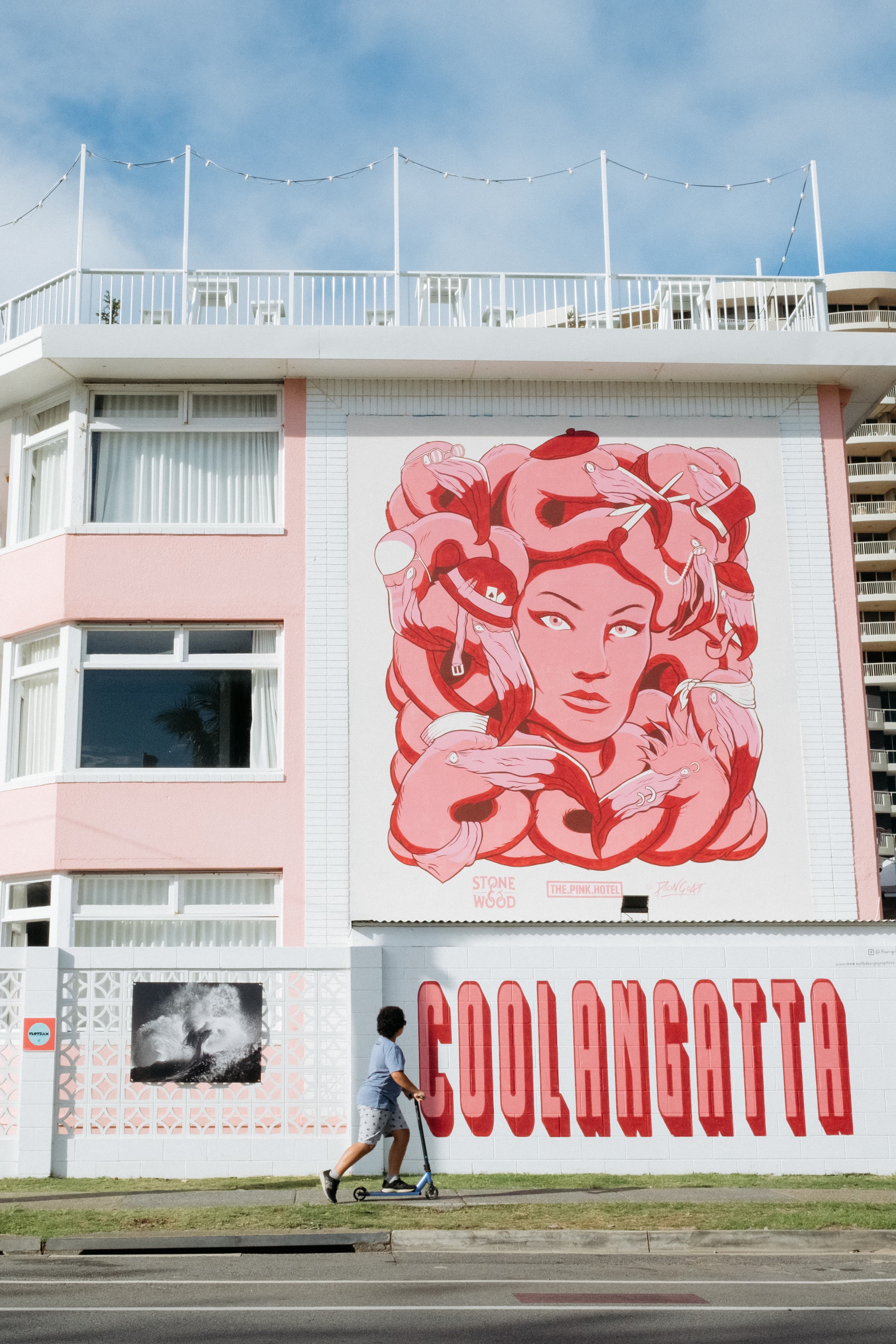 Pink Medusa