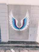 Wings at Tugun