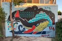 Rollin' in the Ocean