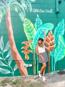 Swing into the Tropics